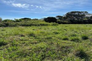 Picture of listing #328067651. Land for sale in Les Matelles