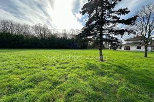 Picture of listing #328127789. Land for sale in Anvin