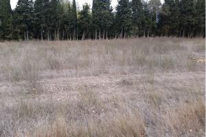 Picture of listing #328133222. Land for sale in Jonquières