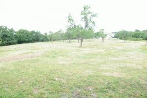 Thumbnail of property #328155820. Click for details