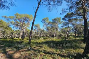 Picture of listing #328186205. Land for sale in Orgon