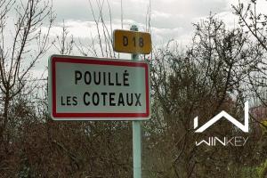 Picture of listing #328187179. Land for sale in Pouillé-les-Côteaux