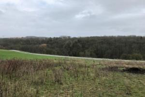 Picture of listing #328252371. Land for sale in Schwerdorff
