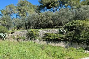 Picture of listing #328253168. Land for sale in Mougins