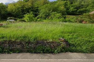 Picture of listing #328307713. Land for sale in Wintzenheim
