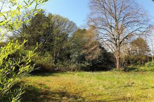Thumbnail of property #328331202. Click for details
