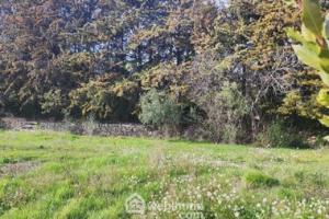 Picture of listing #328342584. Land for sale in Ventabren