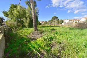 Picture of listing #328353847. Land for sale in Saint-Florent