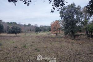 Thumbnail of property #328356660. Click for details