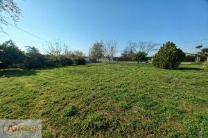 Thumbnail of property #328411467. Click for details