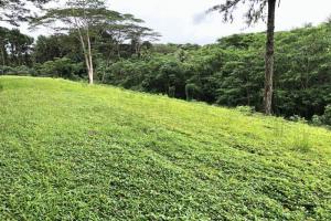 Picture of listing #328415792. Land for sale in Afaahiti