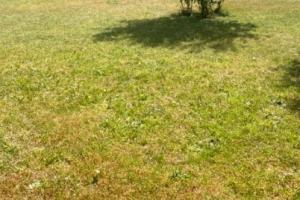 Picture of listing #328423811. Land for sale in Beauchamp