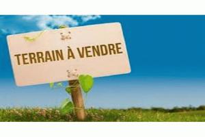 Photo de l'annonce nº 328469446. Terrain à vendre sur Port-Saint-Père