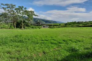 Picture of listing #328470321. Land for sale in Taravao
