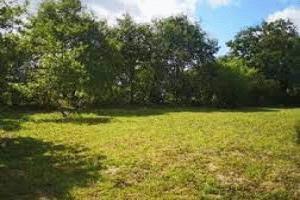 Thumbnail of property #328471183. Click for details