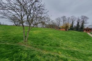 Picture of listing #328514941. Land for sale in Ettendorf