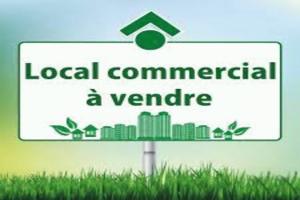 Photo de l'annonce nº 328514943. Commerce à vendre sur Mareuil-sur-Lay-Dissais