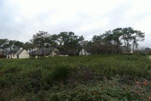 Thumbnail of property #328518460. Click for details