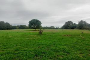 Picture of listing #328623425. Land for sale in Montlieu-la-Garde