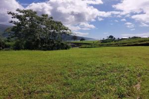 Picture of listing #328626064. Land for sale in Taravao