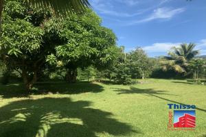 Picture of listing #328627733. Land for sale in Papeari