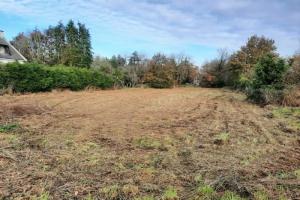 Picture of listing #328681611. Land for sale in Caro