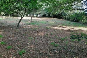 Thumbnail of property #328681616. Click for details