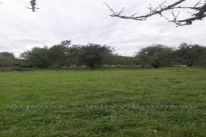 Picture of listing #328686626. Land for sale in Montjoie-en-Couserans