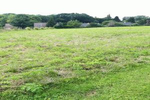 Picture of listing #328740373. Land for sale in Noailles