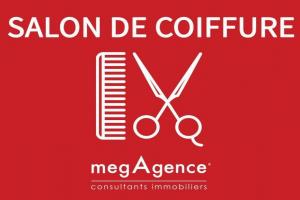 Picture of listing #328743869. Business for sale in Moncé-en-Belin