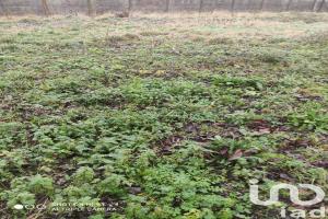 Picture of listing #328785166. Land for sale in Umpeau