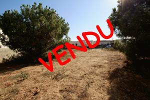 Picture of listing #328802719. Land for sale in Sérignan