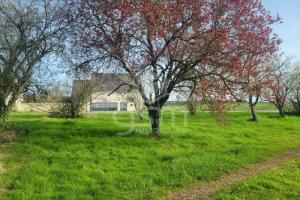 Photo de l'annonce nº 328882219. Terrain à vendre sur Athée-sur-Cher