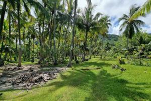 Picture of listing #328887606. Land for sale in Afareaitu