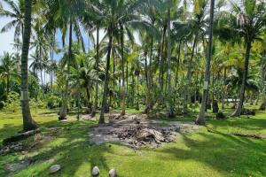 Picture of listing #328887607. Land for sale in Afareaitu