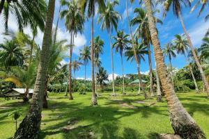 Picture of listing #328887608. Land for sale in Afareaitu