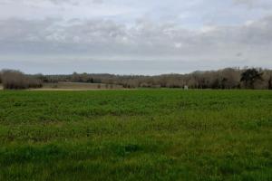Picture of listing #328900413. Land for sale in Saint-Aubin-d'Arquenay