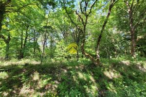 Picture of listing #328907280. Land for sale in Nançay