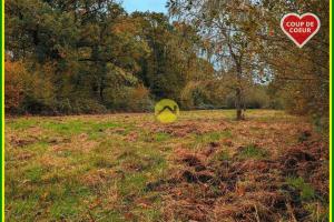 Picture of listing #328910414. Land for sale in Neuvy-sur-Barangeon