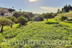 Picture of listing #328919427. Land for sale in Le Golfe Juan