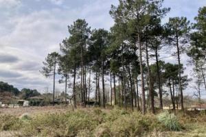 Picture of listing #328927176. Land for sale in Brach
