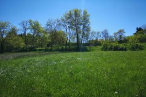 Picture of listing #328927424. Land for sale in Martillac