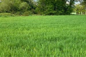 Picture of listing #328927449. Land for sale in Bouliac