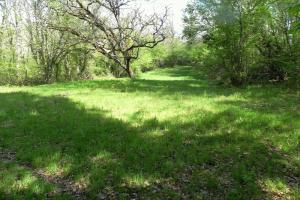 Picture of listing #328927469. Land for sale in Sadirac