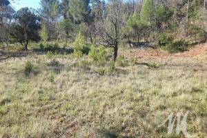 Picture of listing #328981900. Land for sale in Montmeyan