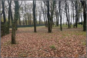 Picture of listing #329002077. Land for sale in Verrie