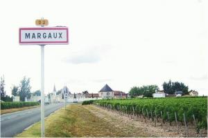 Picture of listing #329003037. Land for sale in Margaux