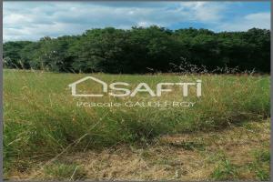 Picture of listing #329005486. Land for sale in Mazerolles