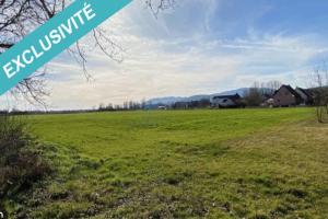 Picture of listing #329007049. Land for sale in Westhalten