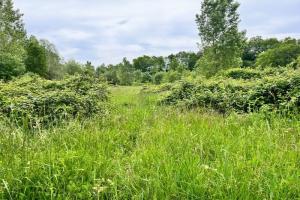 Picture of listing #329008477. Land for sale in Cubzac-les-Ponts